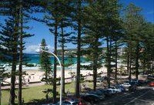 Sydney Highlights with Spanish/Italian Guide